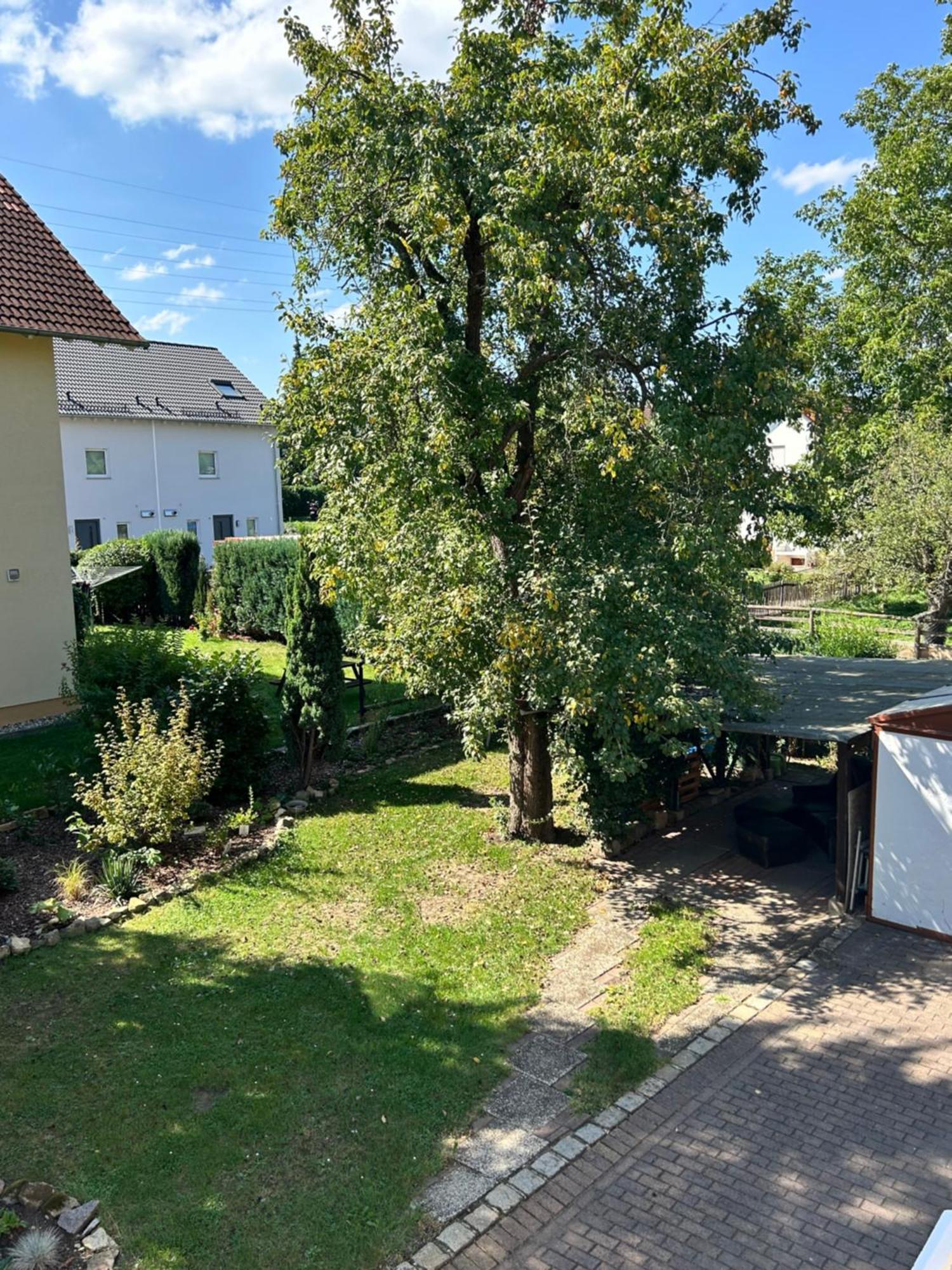 Casa Appartement Dresden